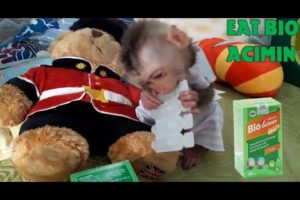 Monkey playing in bed after waking up !!