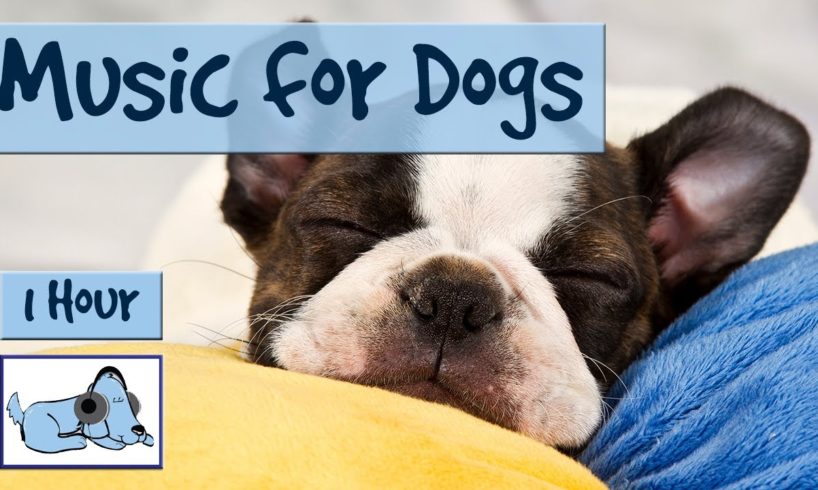 Music for Dogs. Calming Music for Animals.