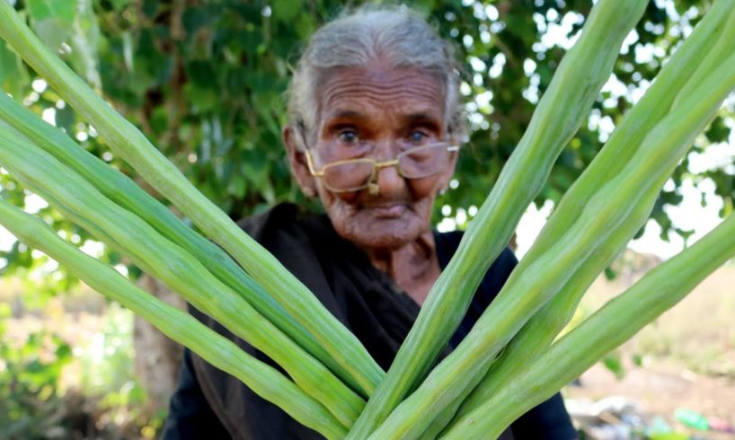 My 105 years Grandma Cooking Drumstic Curry | Drumstick Curry |Country food