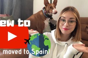 NEW to Youtube | how i started my animal rescue after moving to SPAIN