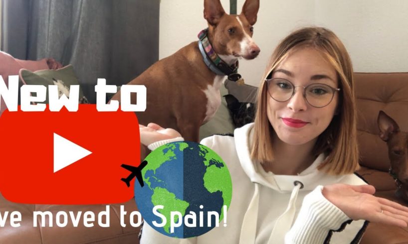 NEW to Youtube | how i started my animal rescue after moving to SPAIN