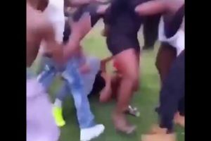 Neighbor hood fight