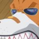 OMFG!!! ANIMAL FIGHTS - ONE PIECE EPISODE 758 REVIEW