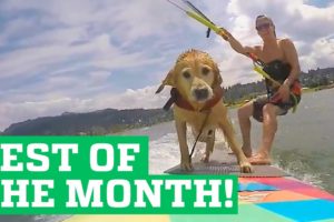 PEOPLE ARE AWESOME | BEST OF THE MONTH (SEPTEMBER 2015)