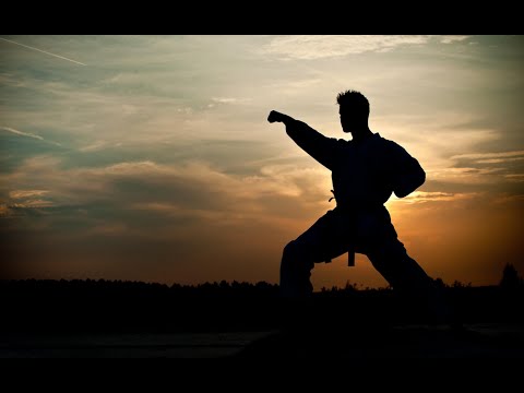 PEOPLE ARE AWESOME (Martial Arts Edition) HD - Awesome People TV