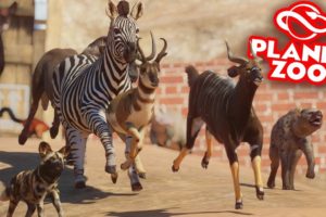 Planet Zoo: Battle Royale - All Animals! I Regret This...