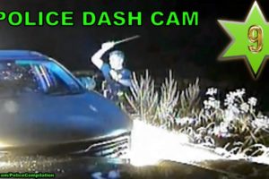 Police dash cam compilation, part 9