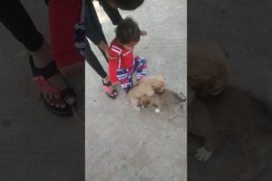 Priyal Baby Playing With Cute Puppies ??