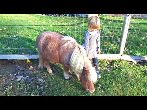 Rescue Farm Tour