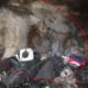 Rescue Poor Dog was Thrown Away in Garbage Pit, Wire Tail Cut Of | Heartbreaking