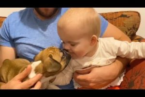 SWEET BABY playing with CUTE PUPPIES | Frenchies! Adorable Christmas Present