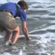 SeaWorld Orlando Animal Rescue Team Returns Sea Turtle Rescued in 2012 | SeaWorld Orlando