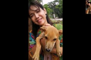 Sick Puppy Spend Full Life In a Cave Has Been Rescued | Rescue Dogs