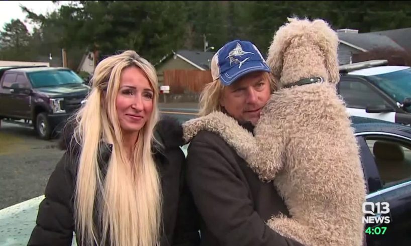 Stolen poodle returned to owners after deadly police shooting near Enumclaw