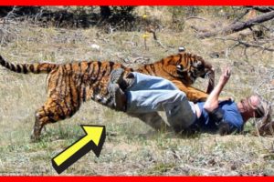 Tiger DEVOURS Father of Two | Wild Animal Fights [NEW] | Worst Animal Attacks