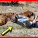 Tiger DEVOURS Father of Two | Wild Animal Fights [NEW] | Worst Animal Attacks