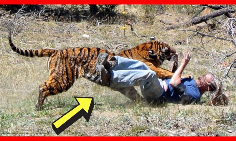 Tiger DEVOURS Father of Two | Wild Animal Fights [NEW] | Worst Animal Attacks