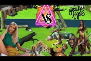 Tiger black Vs Lions club Big Cat Fighting game of thrones season game