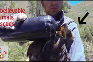 Unbelievable Animals Rescues-ඇදහිය නොහැකි සතුන් බේරා ගැනීම් ThilK Tv