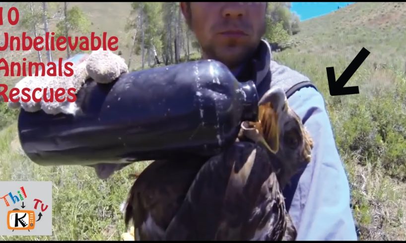 Unbelievable Animals Rescues-ඇදහිය නොහැකි සතුන් බේරා ගැනීම් ThilK Tv