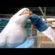 WATER ANIMALS that will make you WET YOUR PANTS FROM LAUGHING - Funny ANIMAL compilation