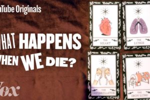 What Happens When We Die? - Glad You Asked S1 (E3)