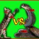 Wild Animals Fights - CAT vs SNAKE - Real Fight Videos Compilation