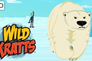 Wild Kratts ?️ Polar Bear & Walrus Rescue ❄ Happy Holidays! ❄ Kids Videos