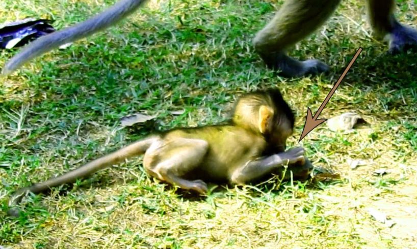 Yeeeh! Baby Jilla So Happy When She Is alone & Playing,No One Bothering Her, Great To SeeThis