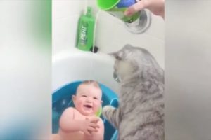 cute funny kittens playing with babies ?extremely funny