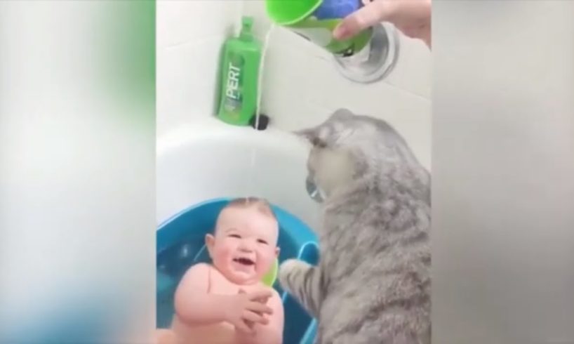 cute funny kittens playing with babies ?extremely funny