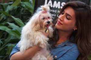 kriti sanon Shows Her Cute Love To cute puppies Video