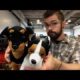 "The Warehouse" - Episode 41 - CUTE PUPPIES!