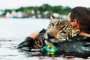 20 MOST INSPIRING ANIMAL RESCUES - Video World