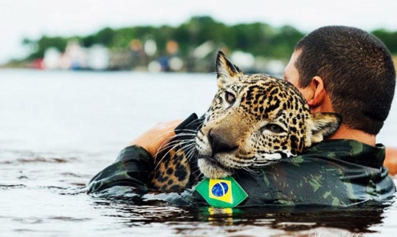20 MOST INSPIRING ANIMAL RESCUES - Video World