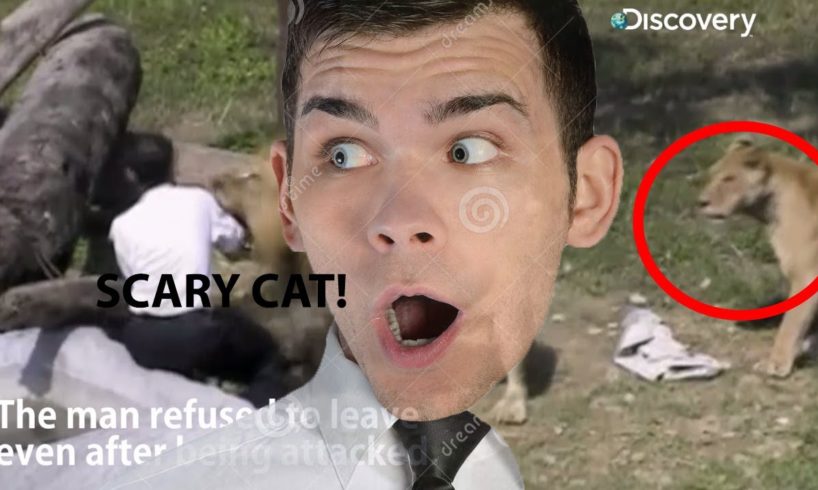 A MAN GOT EATEN BY A LION HMFT