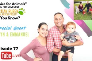 Animal Rescue Episode - 77 | Puppy Mills, Pet Stores, and Dog and Cat Breeding in Colorado