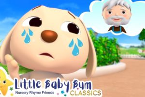 Animal Rescue Song! Stem Learning Videos +More Nursery Rhymes - ABCs and 123s | Little Baby Bum