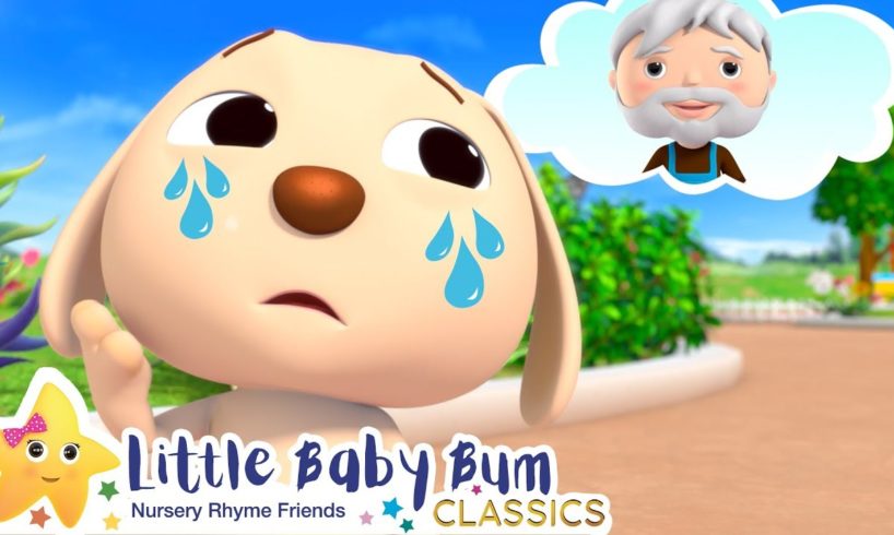 Animal Rescue Song! Stem Learning Videos +More Nursery Rhymes - ABCs and 123s | Little Baby Bum