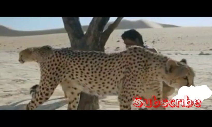 #AsuranDhanush fight with animals scene