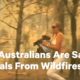 Australians Are Going to Extreme Lengths to Save Animals from Fires | NowThis