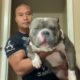 Awesome Animals ? Stunning Bullies Pitbulls Dogs Funny Cute Puppies Dog Vine Compilation 2019
