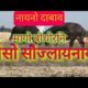 BUFFALO FIGHT DURING MAGH BIHU || MAGW DOMASI || HAPPY BIHU || HAPPY MAGW