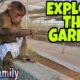 Baby Monkey| YoYo family is playing in the garden|Family YoYo|