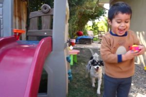 Backyard fun with the super beanz! Featuring the cutest puppies kiwi and pepper!