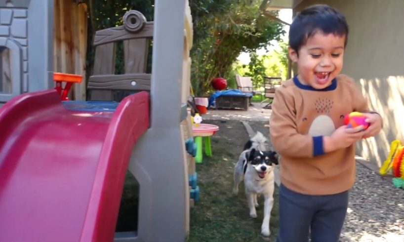 Backyard fun with the super beanz! Featuring the cutest puppies kiwi and pepper!