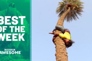 Best of the Week: Upside Down Tree Climbing?! | People Are Awesome