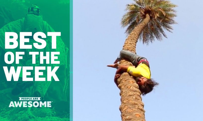 Best of the Week: Upside Down Tree Climbing?! | People Are Awesome