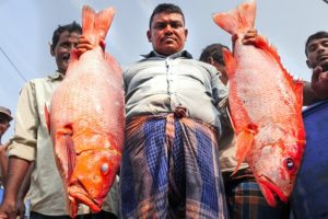 Bizarre Bangladesh!! Uncovering Chittagong's Food Secrets!!