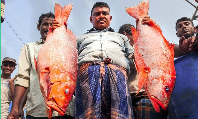 Bizarre Bangladesh!! Uncovering Chittagong's Food Secrets!!